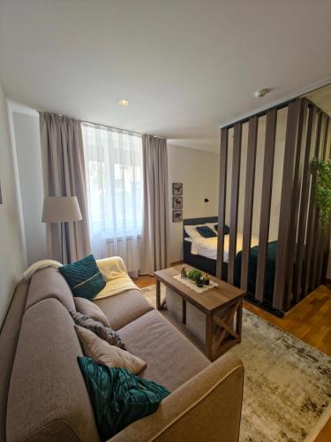 Kopaonik Premium 4 star Studio Brzece Centar stan na dan smestaj kod gondole Kopaonik parking